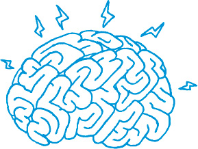 brain