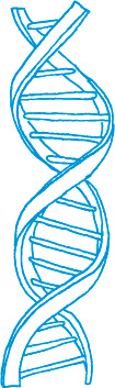 dna